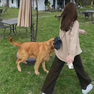 恋爱恐慌症